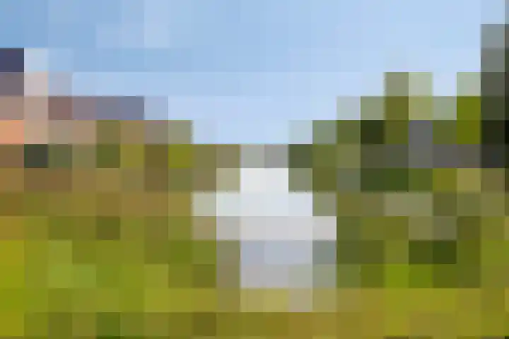 Boekweitveld 4 Bergschenhoek thumbnail 37