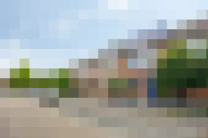 Boekweitveld 4 Bergschenhoek thumbnail 39