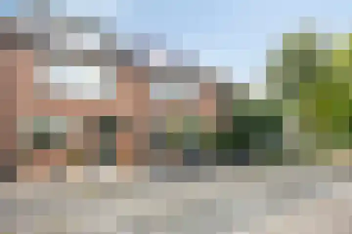 Boekweitveld 4 Bergschenhoek thumbnail 4