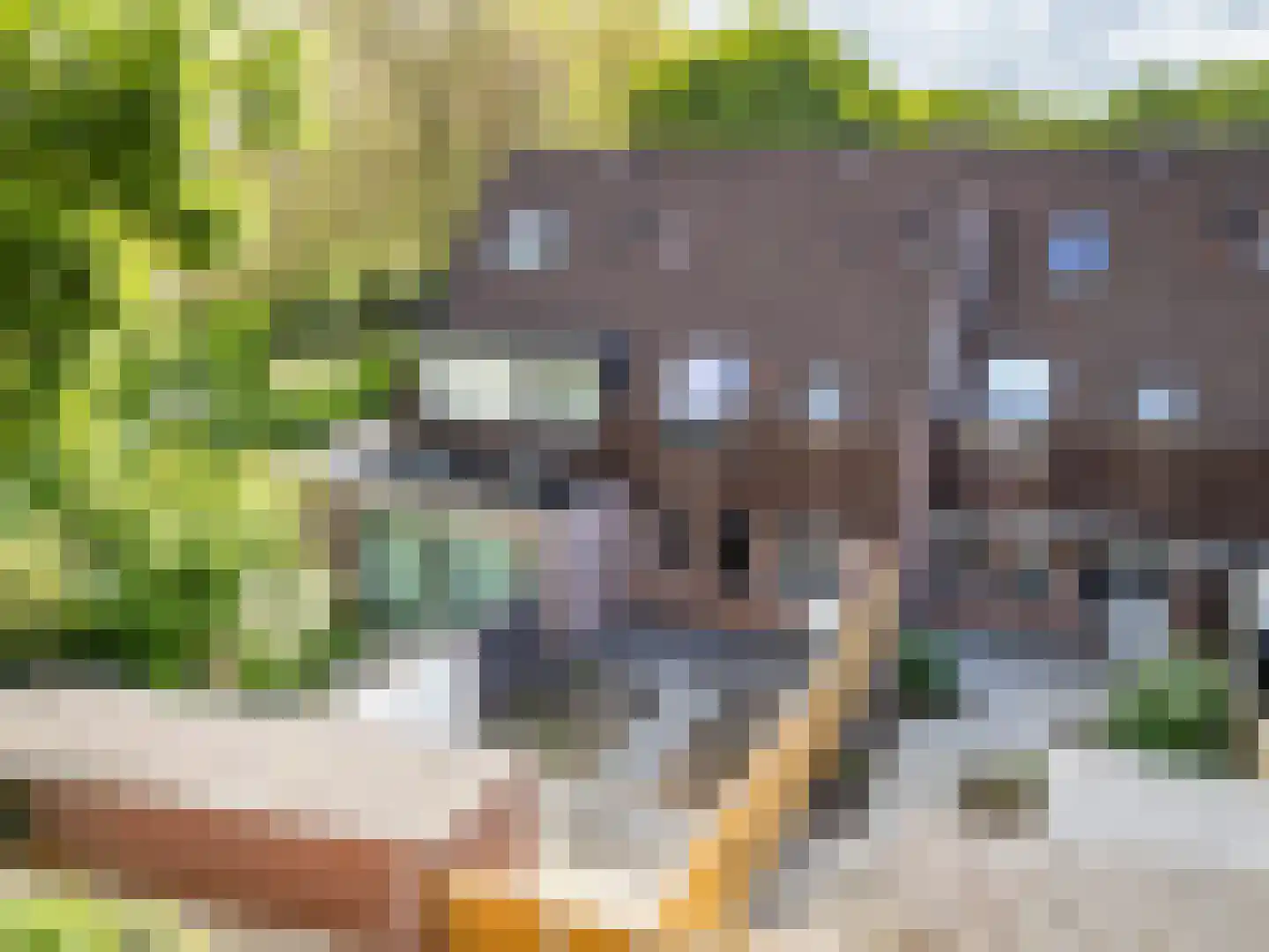 Boekweitveld 4 Beuningen Gld thumbnail 37