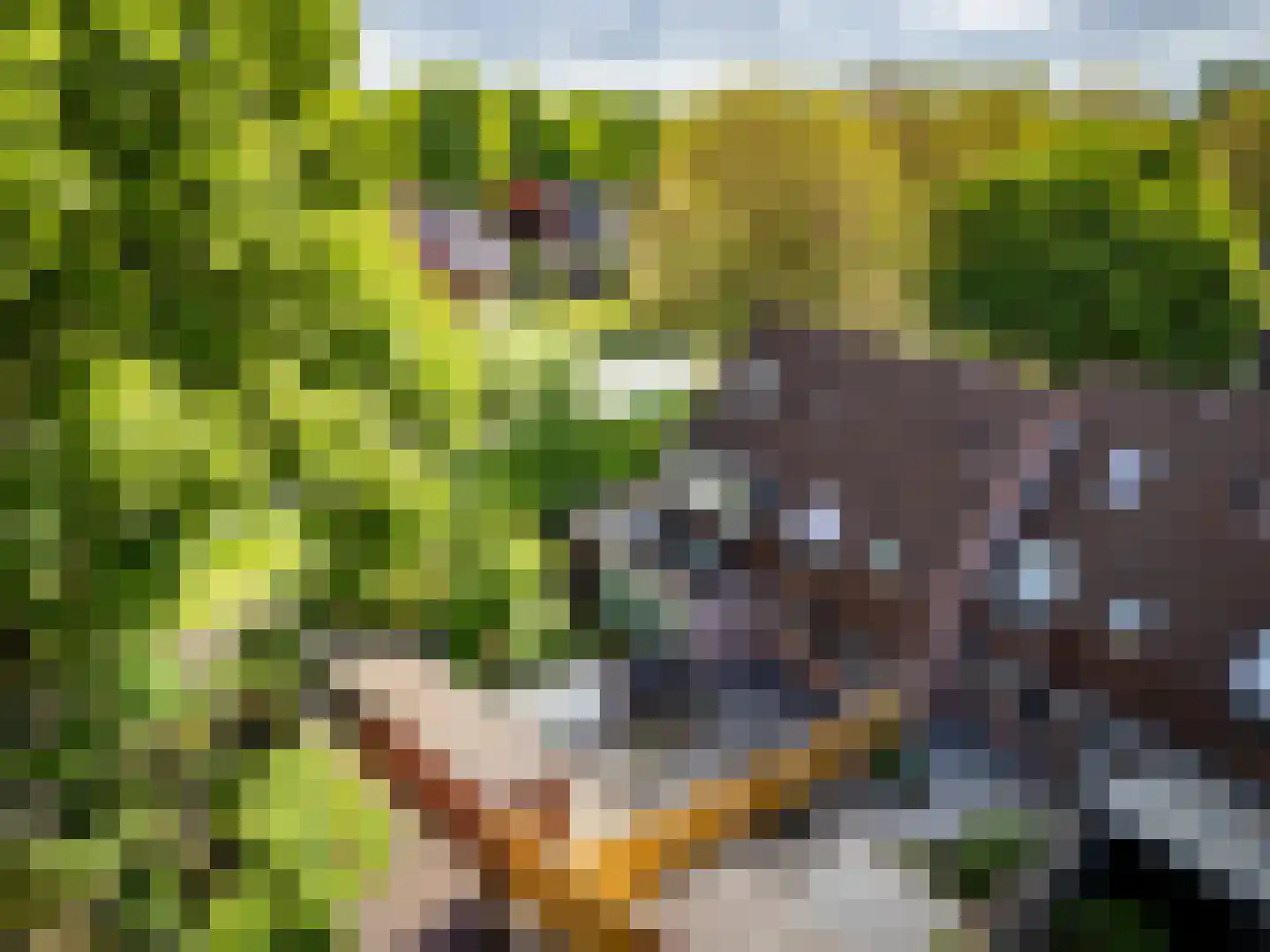 Boekweitveld 4 Beuningen Gld thumbnail 38