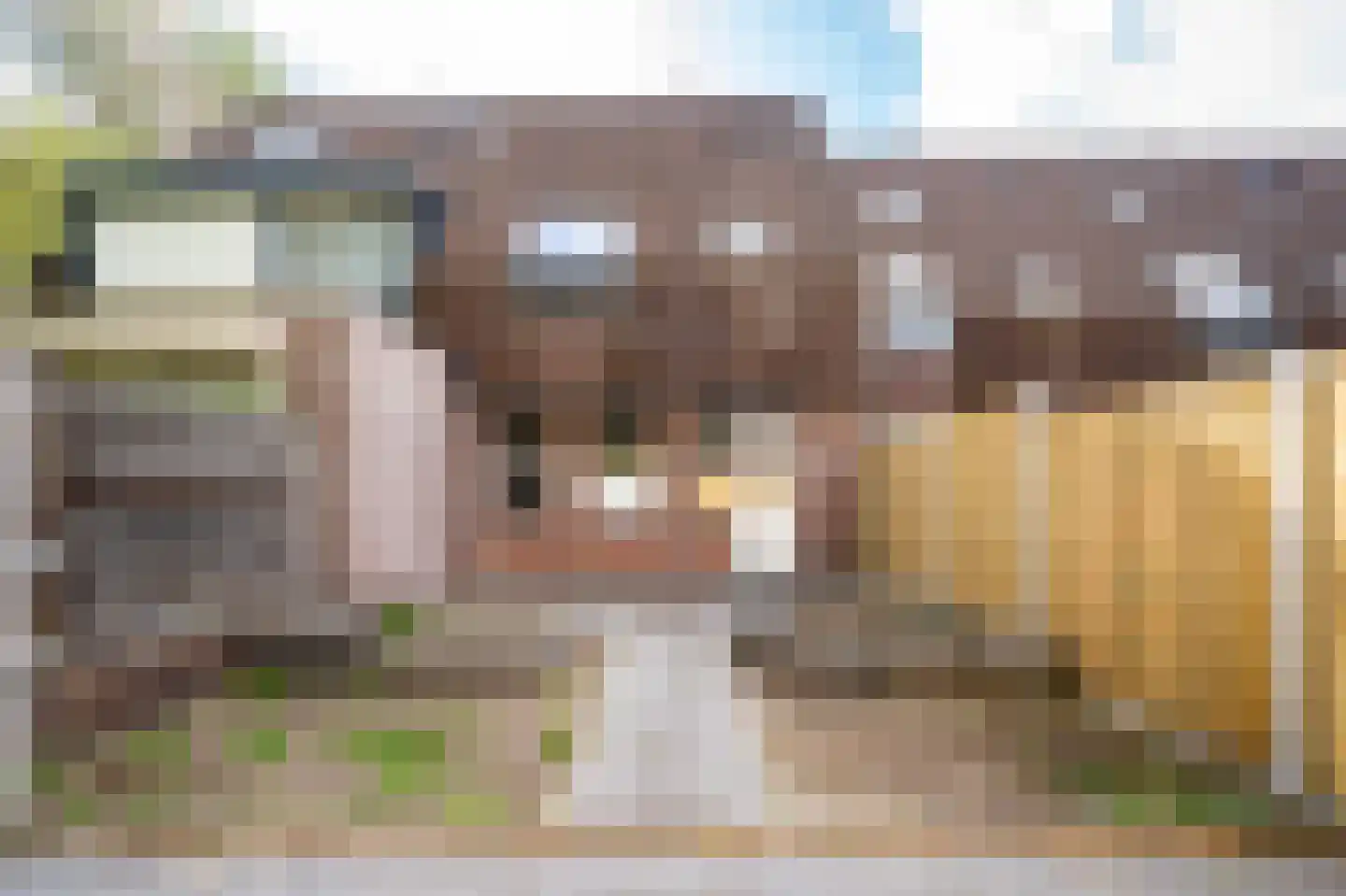 Boekweitveld 4 Beuningen Gld thumbnail 39