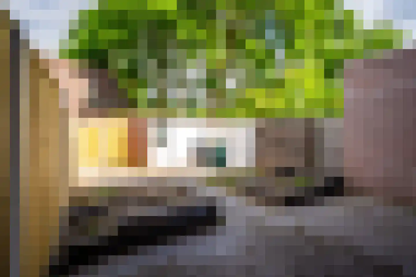 Boekweitveld 4 Beuningen Gld thumbnail 40