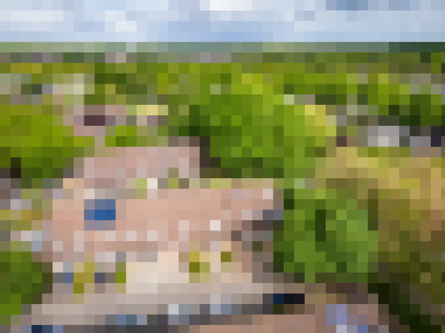 Boekweitveld 4 Beuningen Gld thumbnail 45