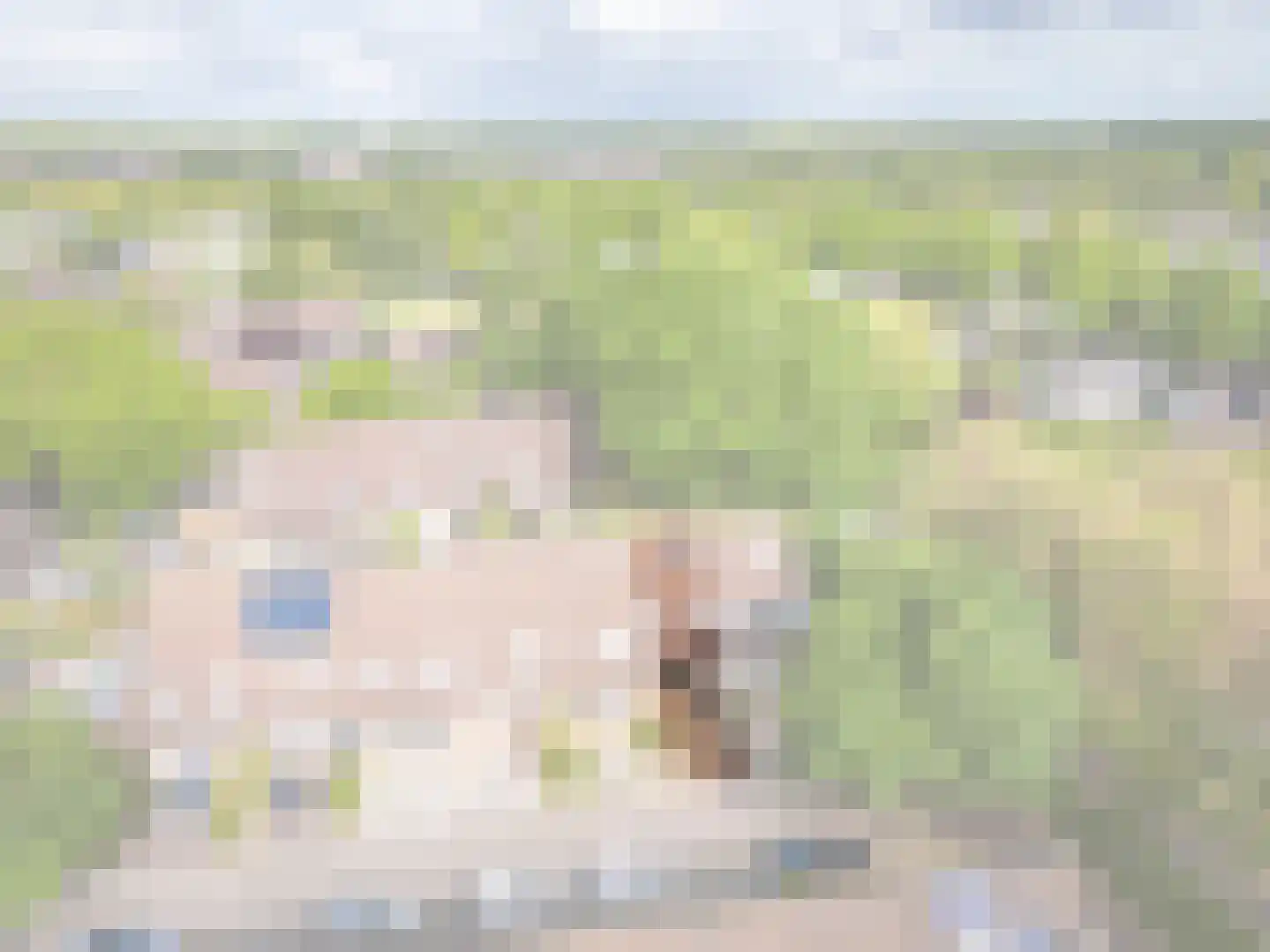 Boekweitveld 4 Beuningen Gld thumbnail 46