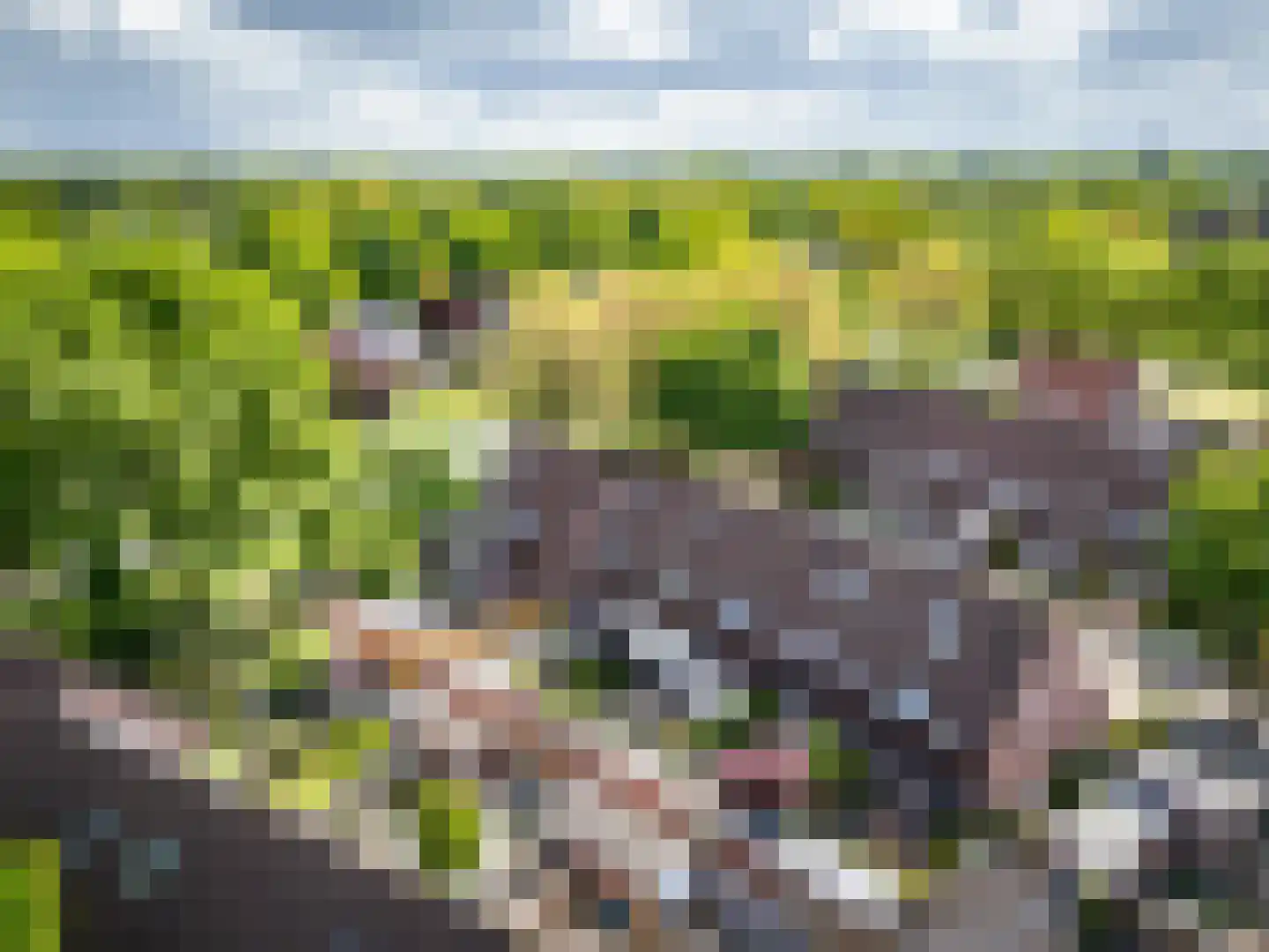 Boekweitveld 4 Beuningen Gld thumbnail 47