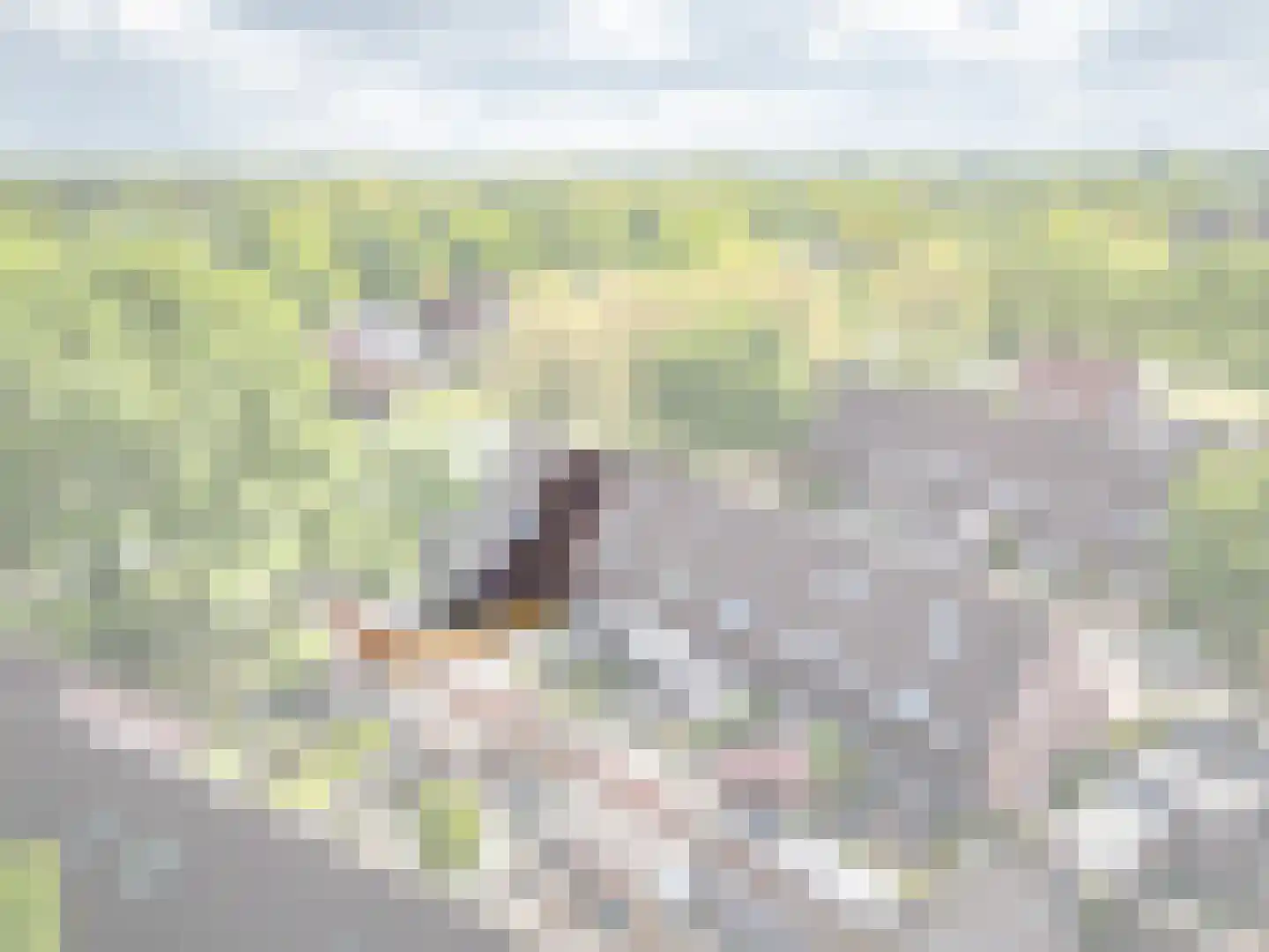 Boekweitveld 4 Beuningen Gld thumbnail 48