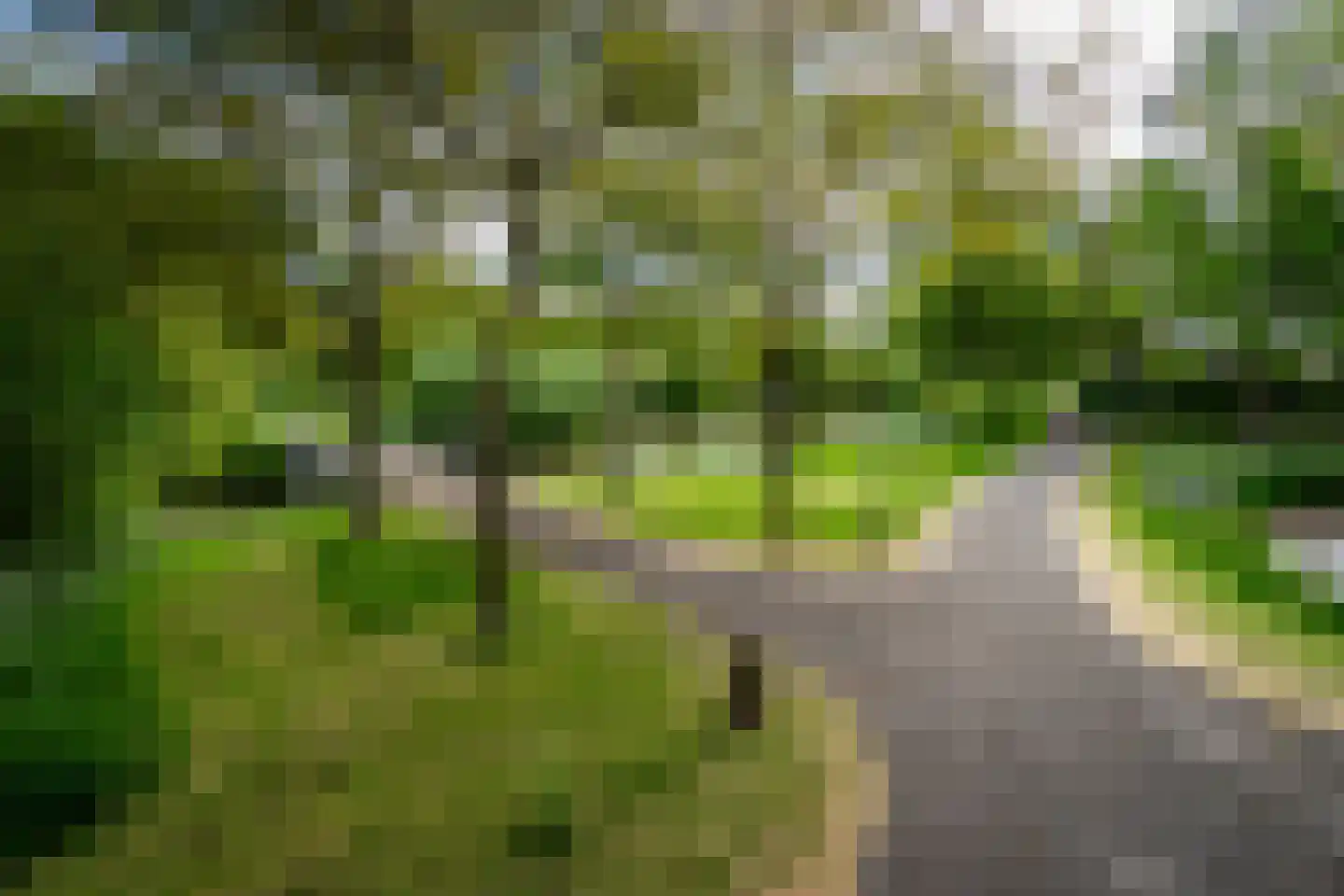 Boekweitveld 4 Beuningen Gld thumbnail 50