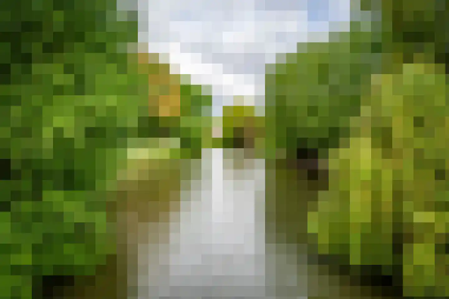 Boekweitveld 4 Beuningen Gld thumbnail 51