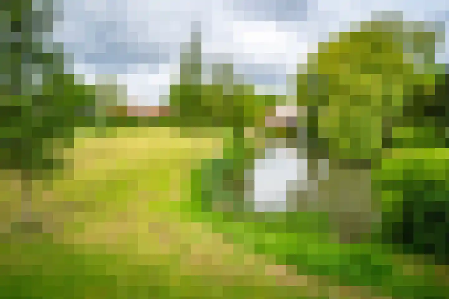 Boekweitveld 4 Beuningen Gld thumbnail 52