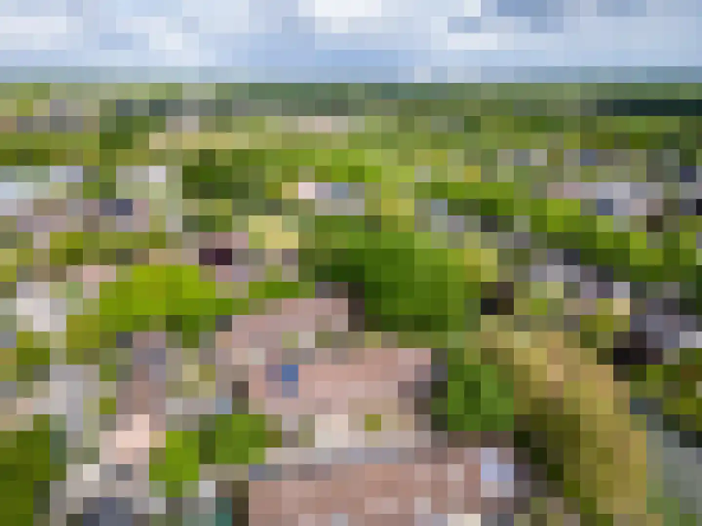 Boekweitveld 4 Beuningen Gld thumbnail 56