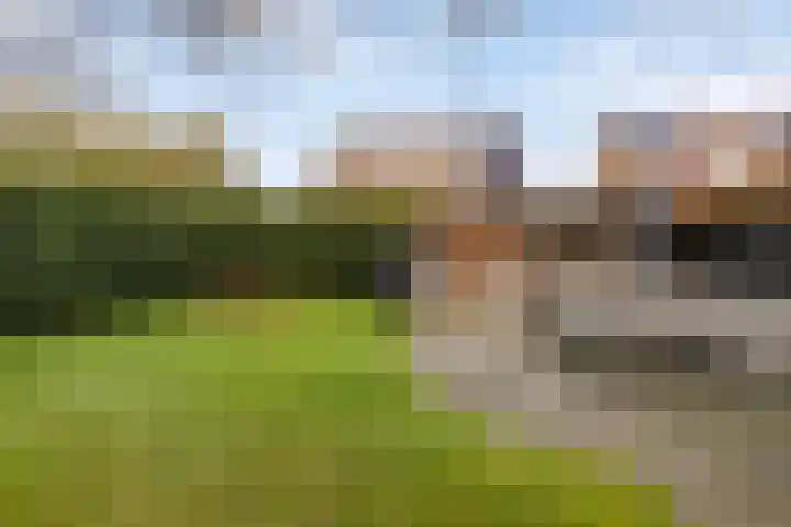 Boekweitveld 42 Assen thumbnail 15