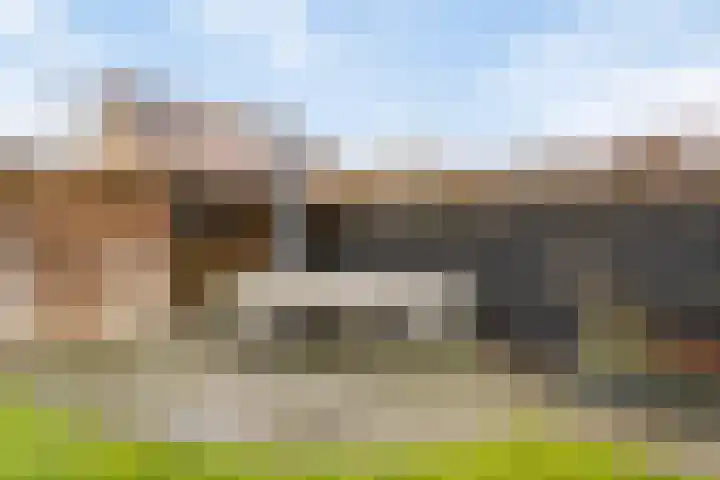 Boekweitveld 42 Assen thumbnail 16