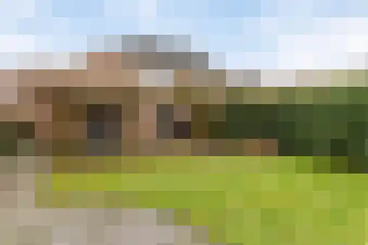 Boekweitveld 42 Assen thumbnail 17