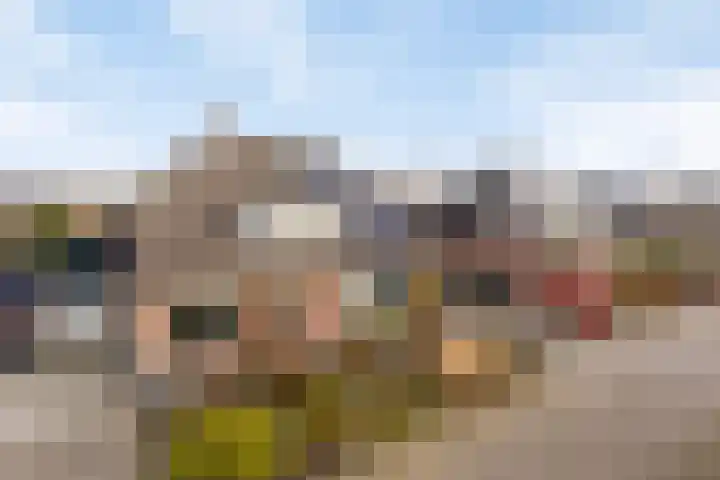 Boekweitveld 42 Assen thumbnail 29