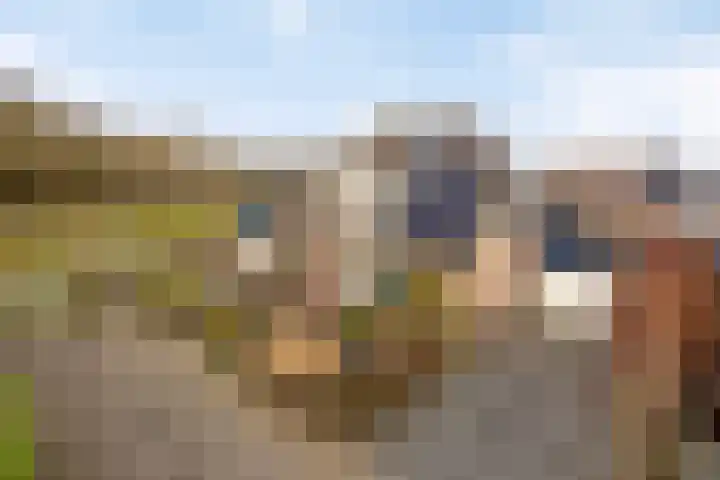 Boekweitveld 42 Assen thumbnail 31