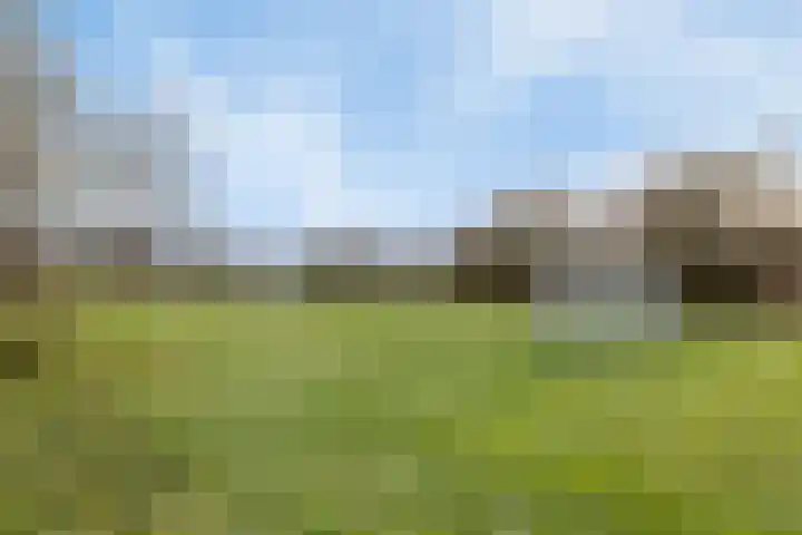 Boekweitveld 42 Assen thumbnail 32