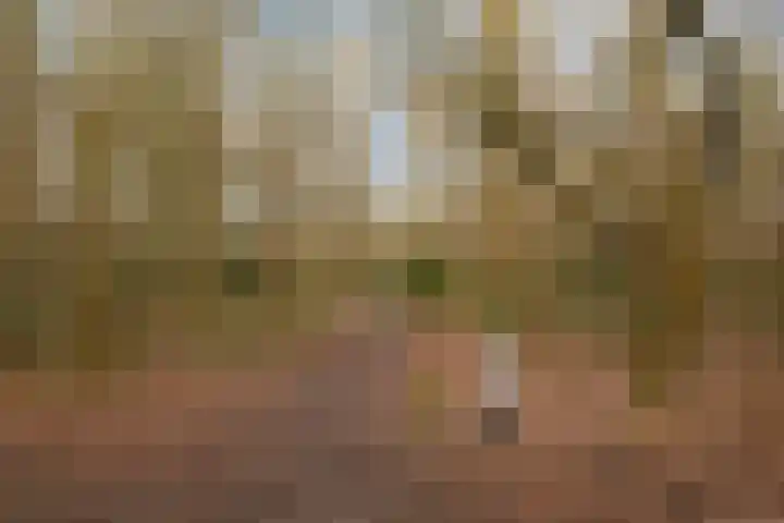 Boekweitveld 42 Assen thumbnail 33