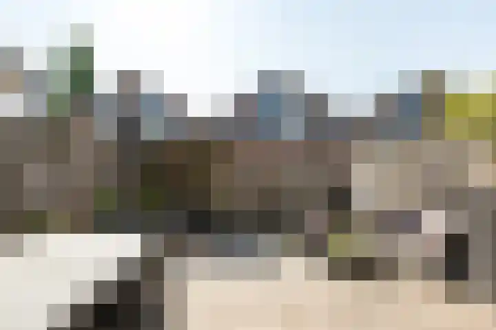 Boekweitveld 50 Bergschenhoek thumbnail 34