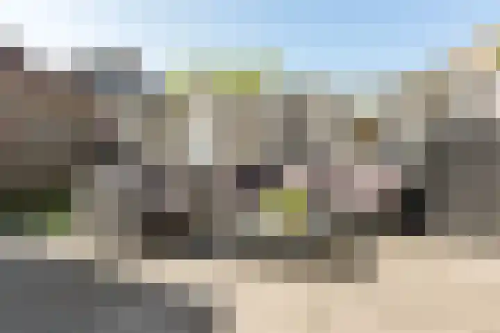 Boekweitveld 50 Bergschenhoek thumbnail 35