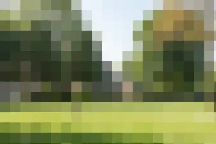 Boekweitveld 50 Bergschenhoek thumbnail 40