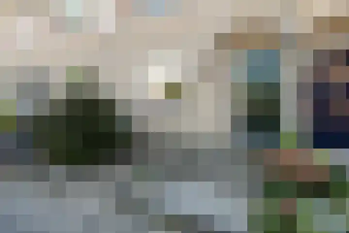 Boekweitveld 50 Bergschenhoek thumbnail 6