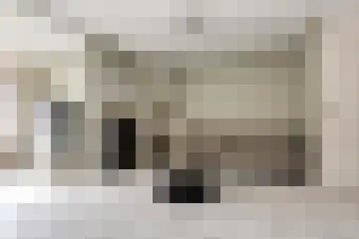 Boekweitveld 50 Bergschenhoek thumbnail 9