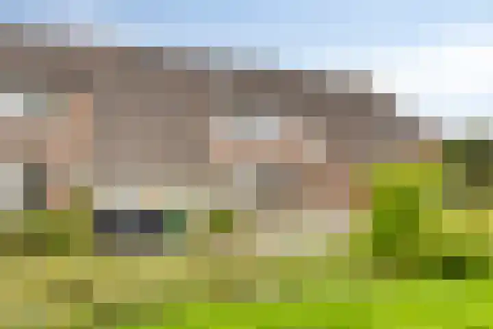 Boekweitveld 6 Assen thumbnail 26