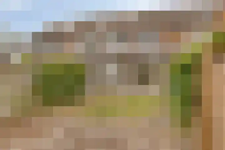 Boekweitveld 6 Assen thumbnail 33