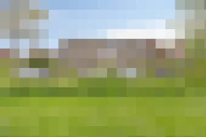 Boekweitveld 6 Assen thumbnail 38
