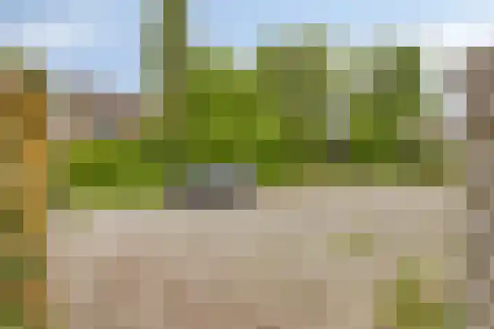 Boekweitveld 6 Assen thumbnail 39
