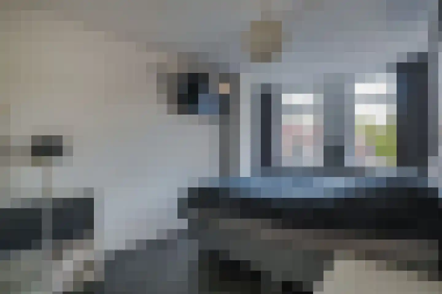Boekweitveld 82 Hoevelaken thumbnail 15