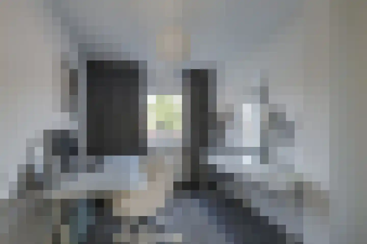 Boekweitveld 82 Hoevelaken thumbnail 18