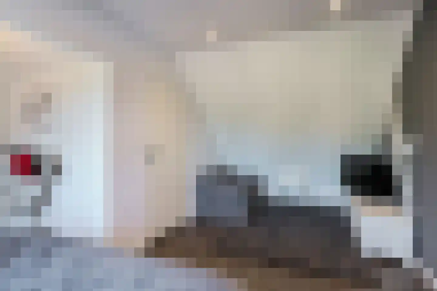 Boekweitveld 82 Hoevelaken thumbnail 23