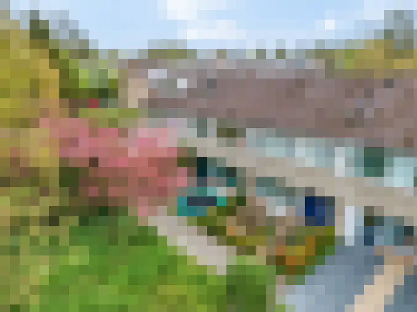 Boekweitveld 9 Veenendaal thumbnail 45