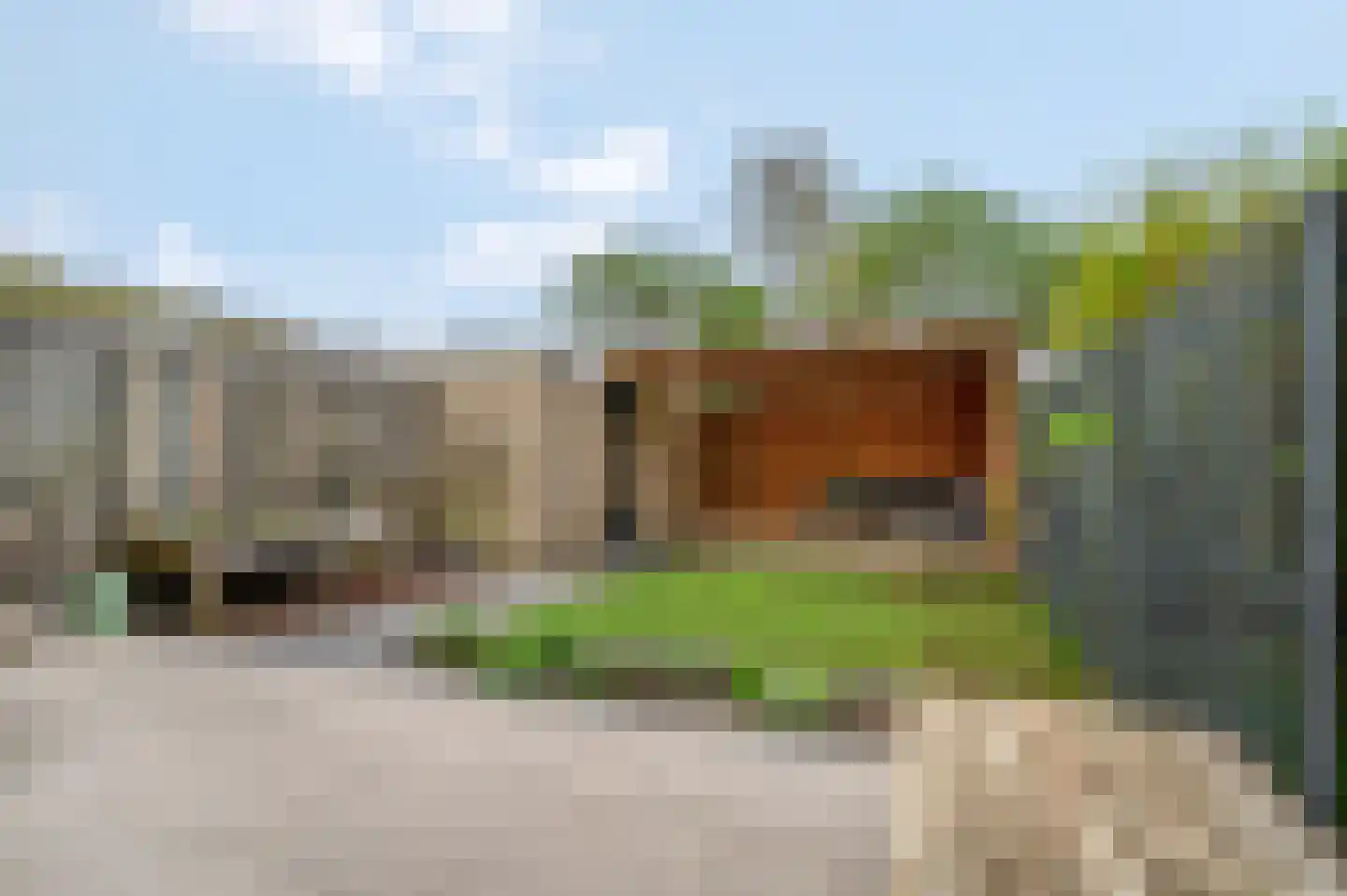 Boekweitveld 9 Veenendaal thumbnail 5