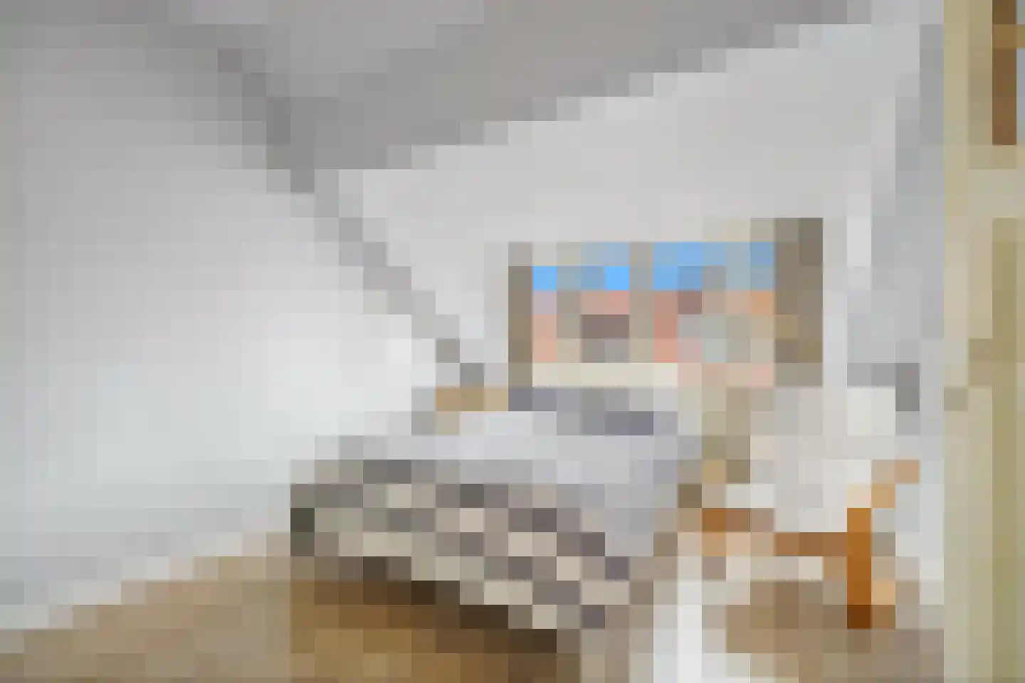 Boele van Hensbroekstraat 38 Den Haag thumbnail 32