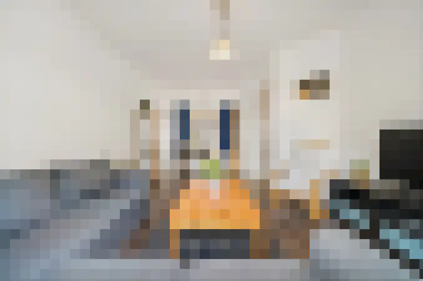 Boele van Hensbroekstraat 38 Den Haag thumbnail 5