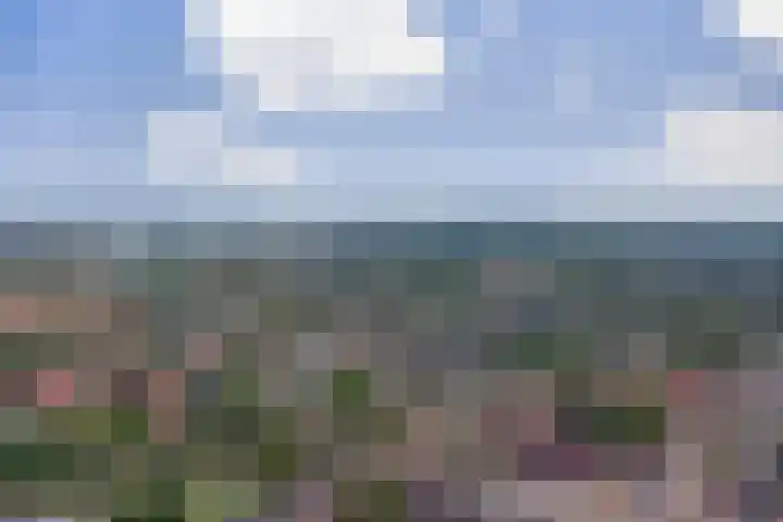 Boelekade 106 Gouda thumbnail 28