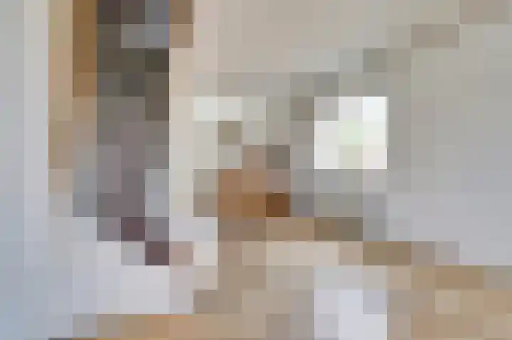 Boelekade 106 Gouda thumbnail 7
