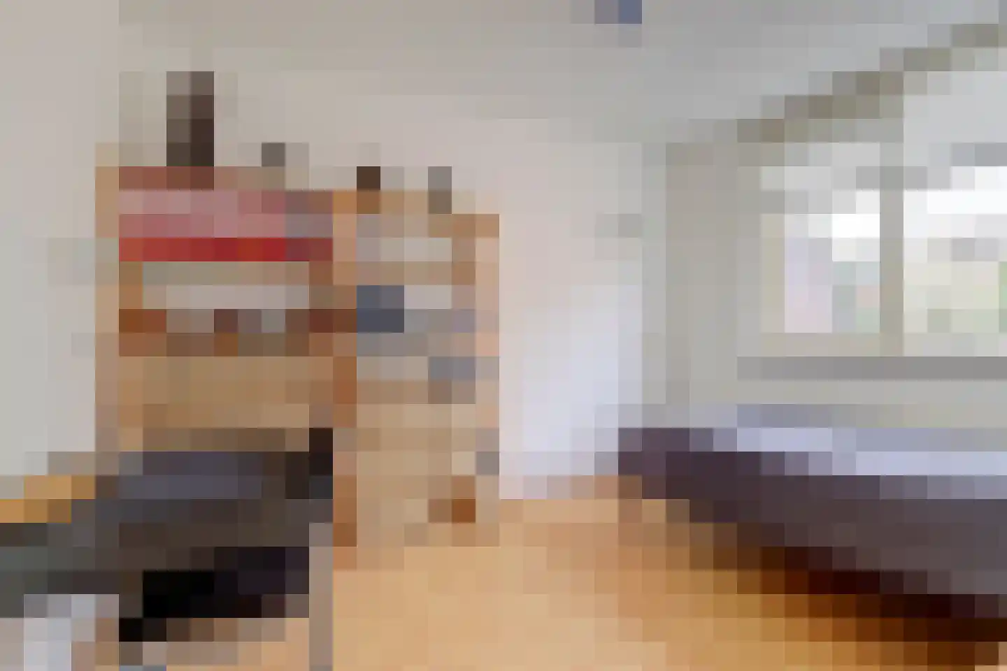 Boelekade 153 Gouda thumbnail 20