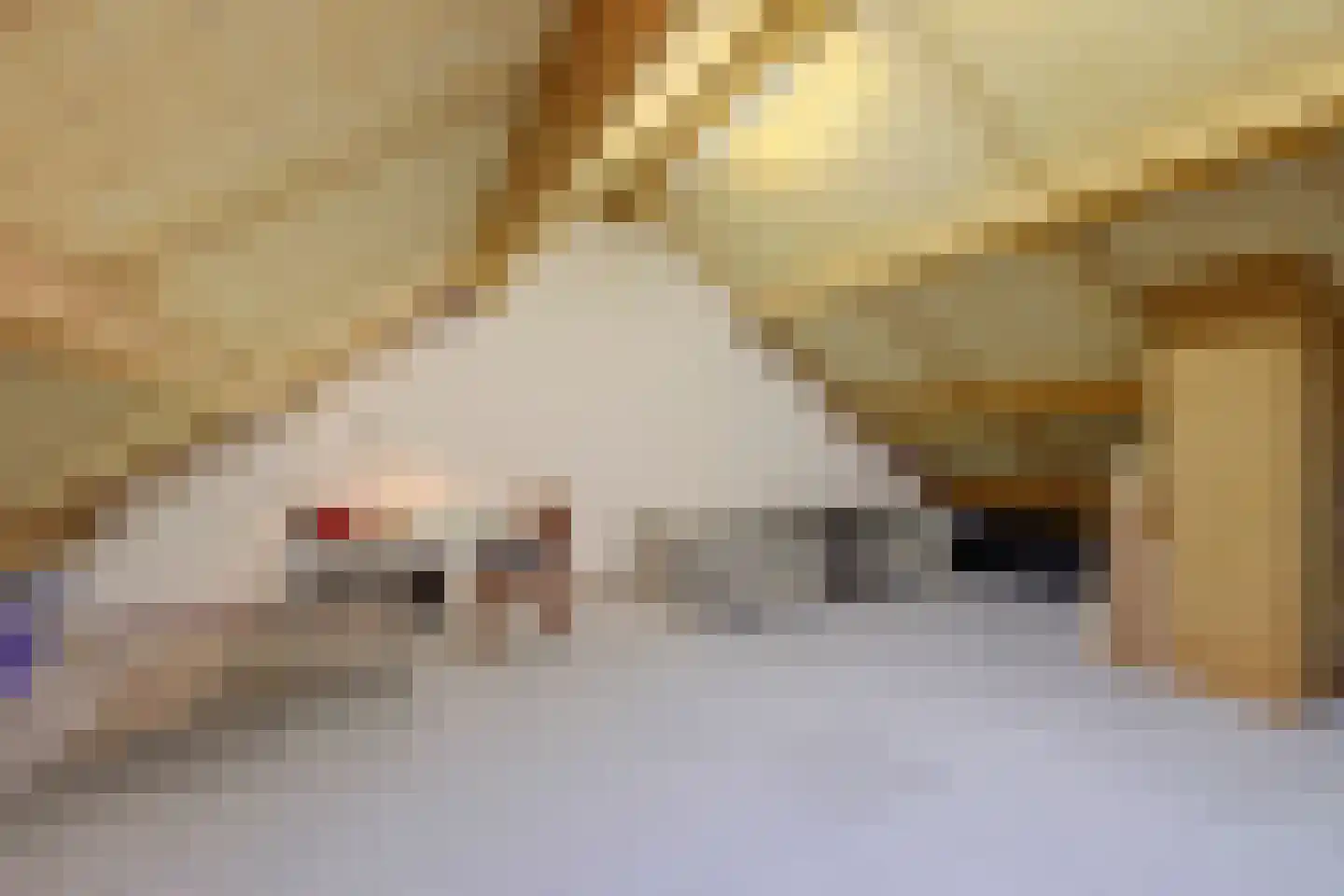 Boelekade 153 Gouda thumbnail 24