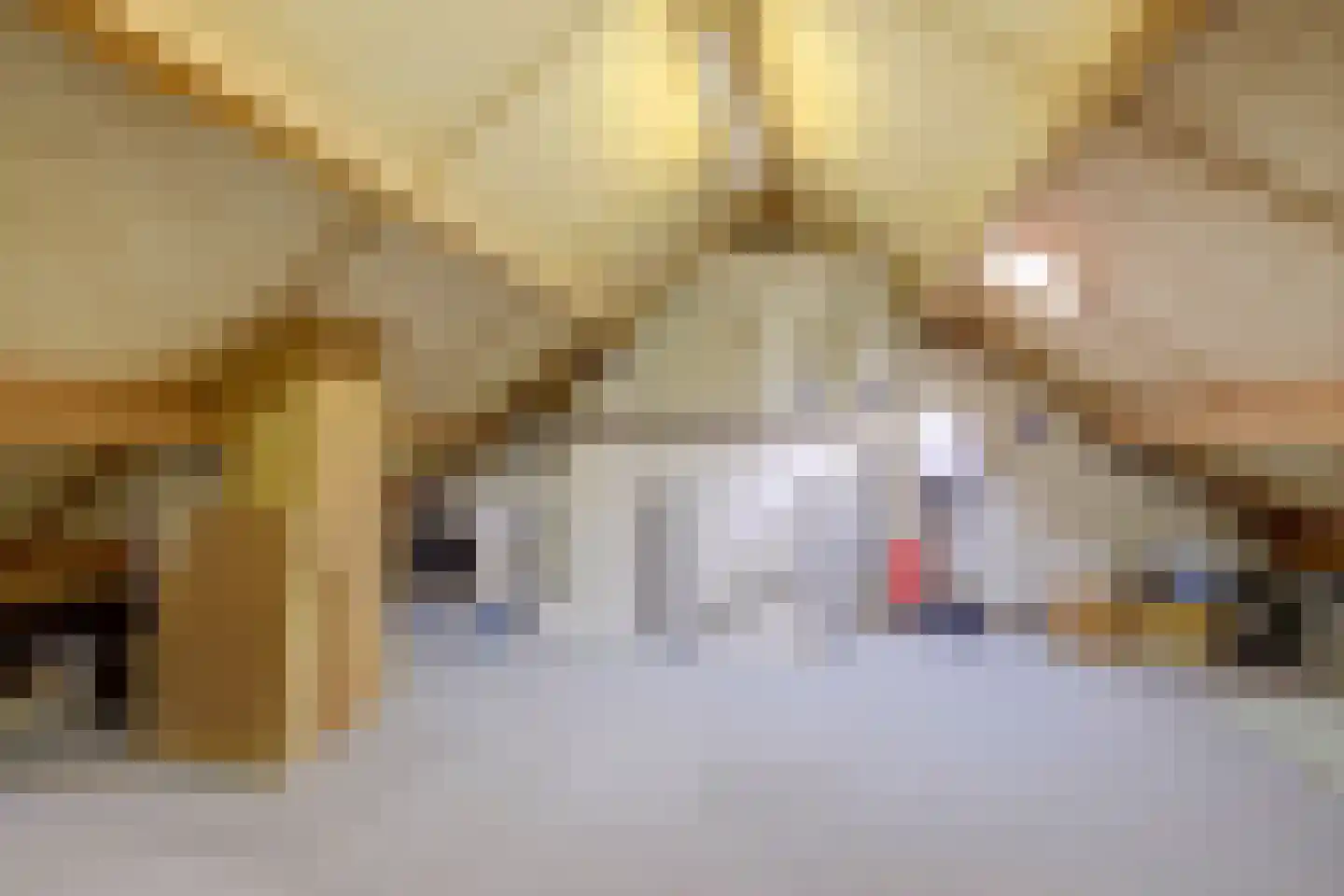 Boelekade 153 Gouda thumbnail 25
