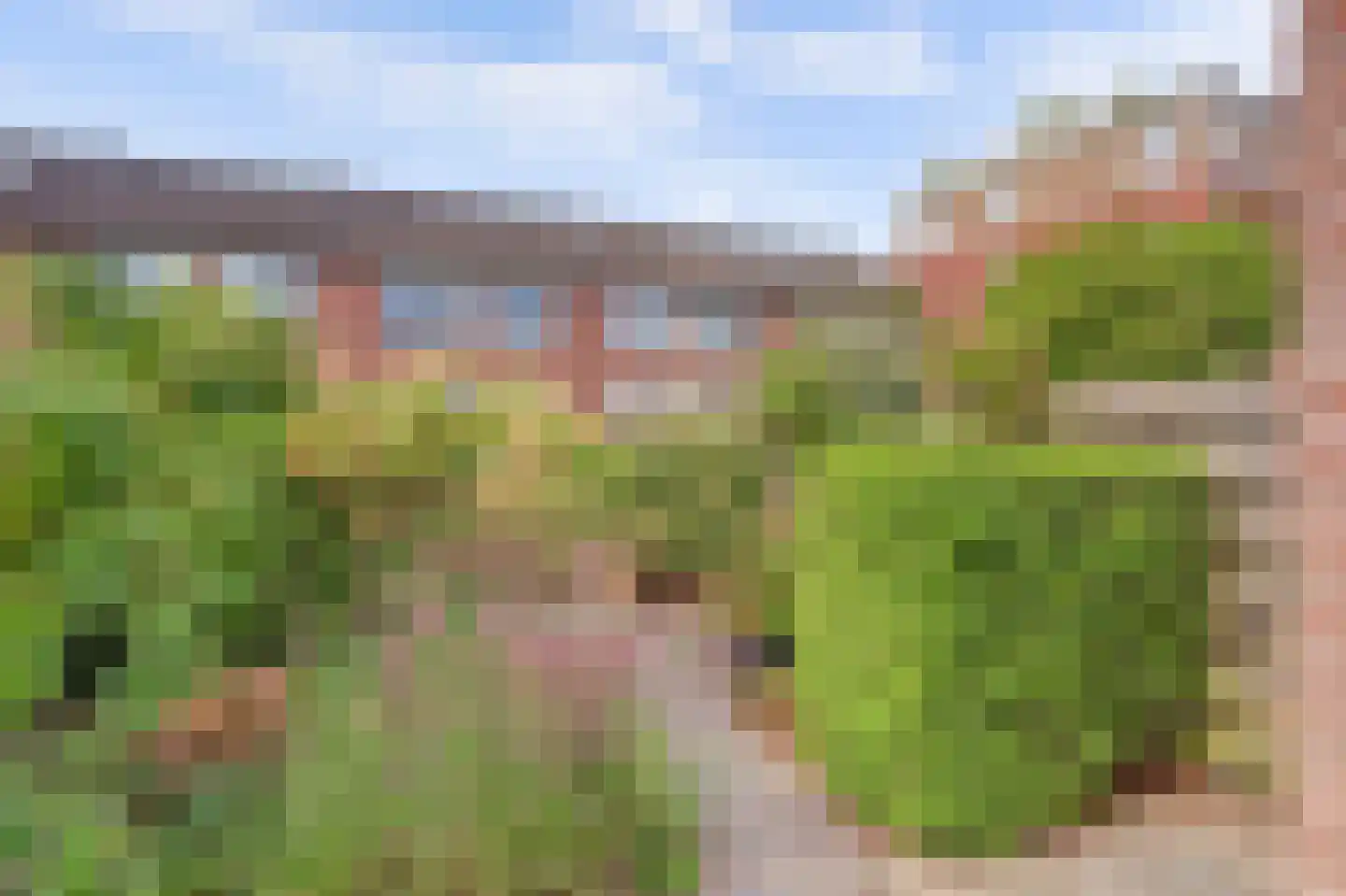 Boelekade 153 Gouda thumbnail 29
