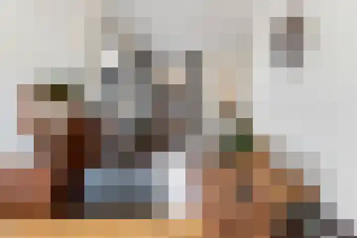 Boelekade 21 Gouda thumbnail 10