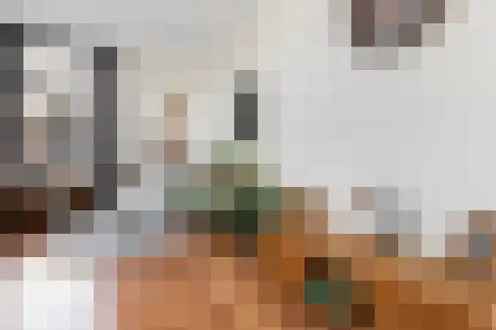 Boelekade 21 Gouda thumbnail 12