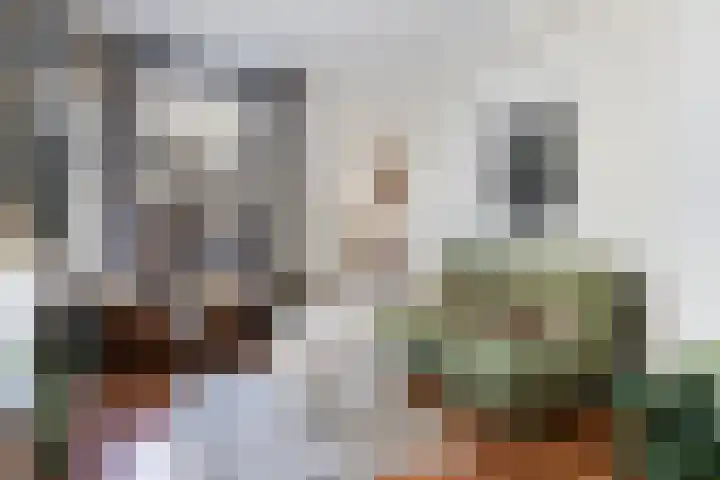 Boelekade 21 Gouda thumbnail 13