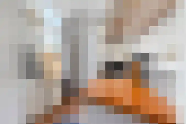 Boelekade 21 Gouda thumbnail 16