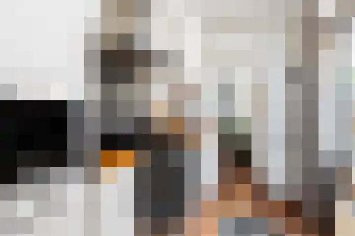 Boelekade 21 Gouda thumbnail 18