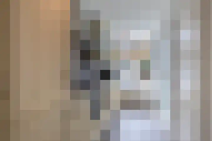 Boelekade 223 Gouda thumbnail 11
